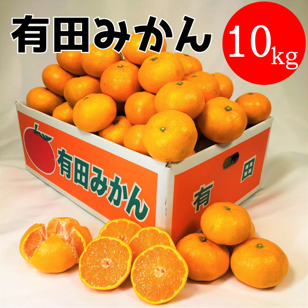 有田みかん 10kg (約89個～95個) DJ035
