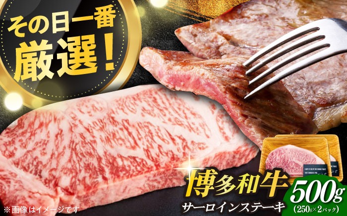 【溢れる肉汁と濃厚な旨味】博多和牛 サーロイン ステーキ セット 500g(250g×2枚)《築上町》【株式会社MEAT PLUS】 [ABBP013]