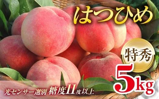 
            2025年出荷分 《先行予約》 福島県産 はつひめ 5kg 特秀 糖度11度以上 透過式光センサー選別 2025年7月上旬～2025年7月中旬発送 先行予約 予約 伊達の桃 桃 もも モモ 果物 くだもの フルーツ 国産 食品 F20C-127
          