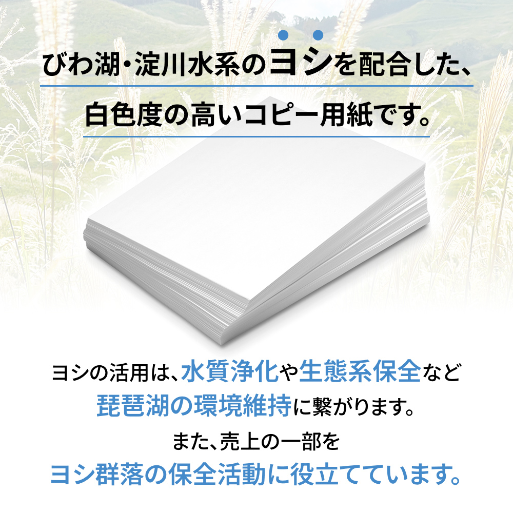 KPS-R34 ヨシ コピー用紙ヨシB4 500枚×5冊/1箱　合計2,500枚 複合機 印刷 送料無料 BB07