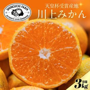 【天皇杯受賞産地】川上みかん 3kg【愛媛県八幡浜市】新口農園厳選【A70-120】【1683960】