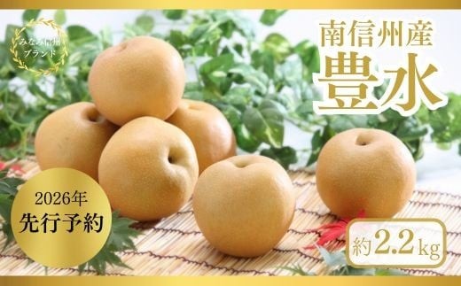 
                  JA31　梨 豊水 約2kg / 2026年9月上旬～9月下旬頃 配送予定 // 贈答 センサー選別 糖度センサー 梨 なし ナシ 果物 フルーツ ギフト 豊水 太鼓判 優糖生
                