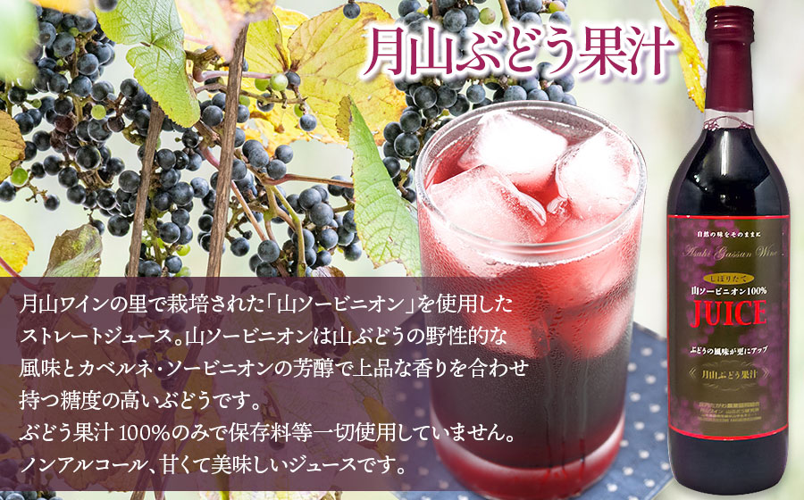 月山山ぶどう果汁・原液セット 各720ml×1本　山形県鶴岡市 庄内観光物産館事業部　| ぶどう 果汁 ブドウジュース 果汁100% 果汁飲料 飲料 飲み物 セット ジュース 果汁 山ぶどう 山形県 
