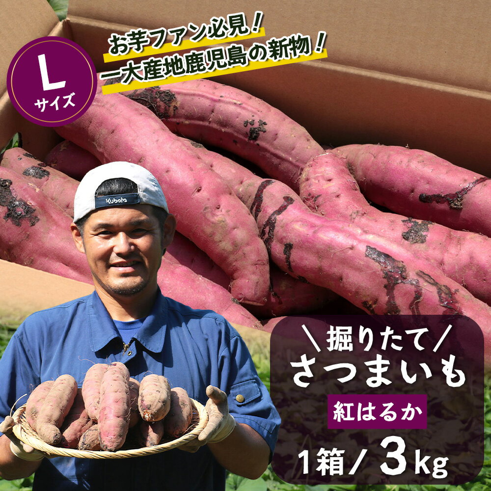 【ふるさと納税】熟成 紅はるか 3kg ( 1箱 ) Lサイズ さつまいも 鹿児島県産【2025年9月中旬より順次発送】FR-215