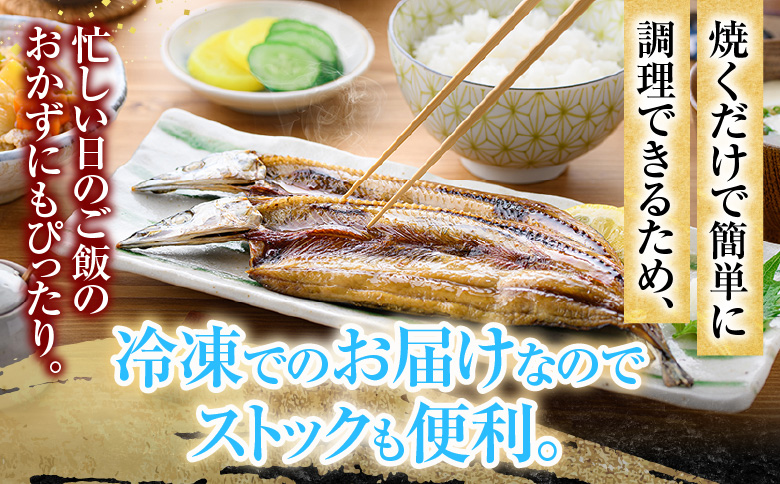 【北海道根室産】秋刀魚尽くし A-54014