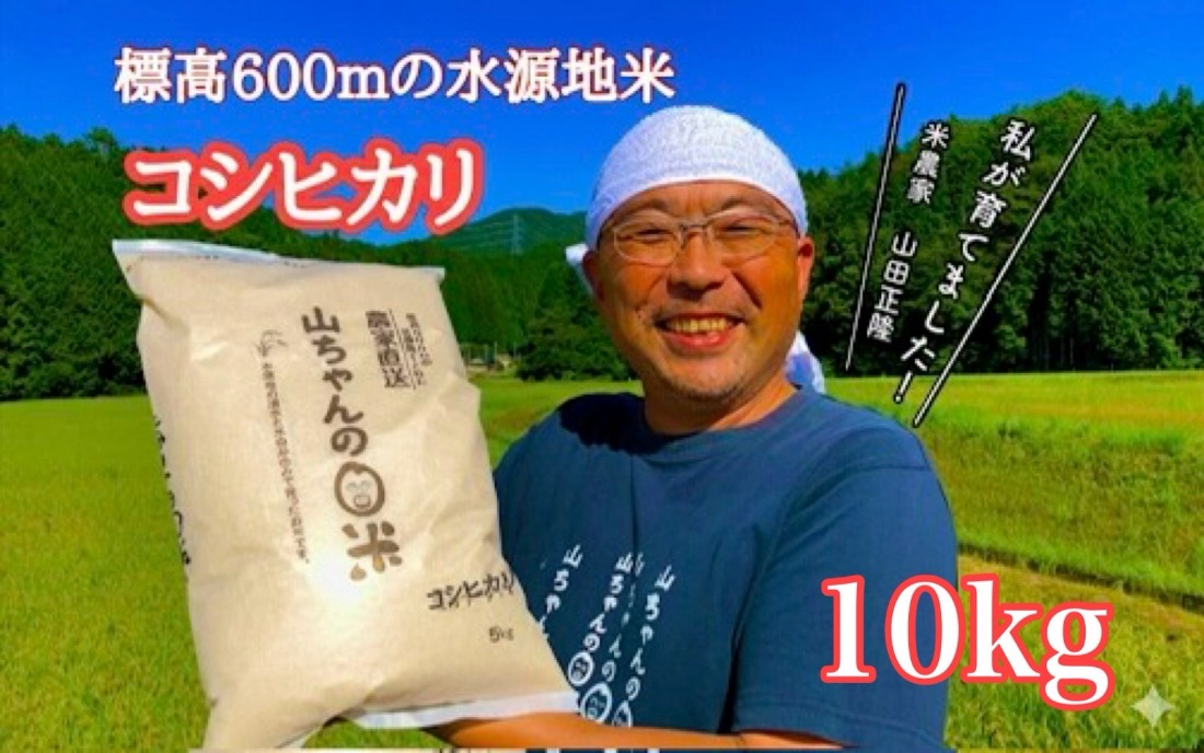 541. 農家直送「山ちゃんのお米」コシヒカリ10kg