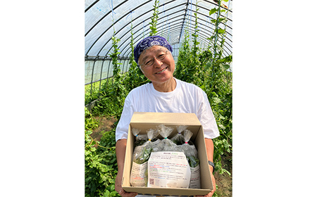 【ミネラル豊富野菜】 ゲンキナ 1kg F20C-948