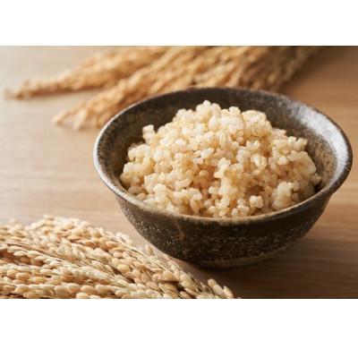 ふるさと納税 西脇市 【毎月定期便】兵庫県産 コシヒカリ(玄米) 10kg全6回