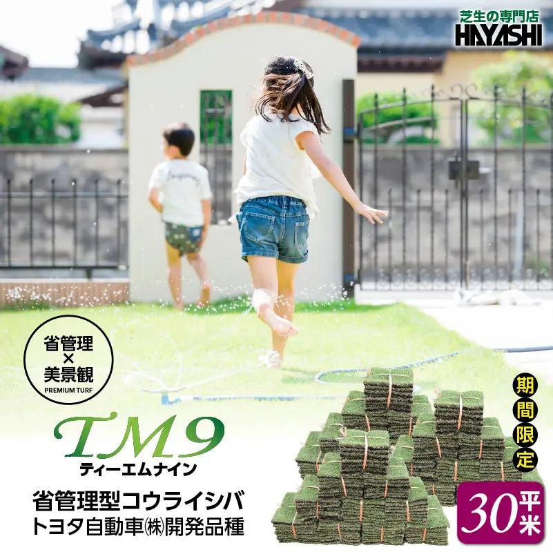 TM9（ティーエムナイン）省管理型 コウライシバ トヨタ自動車(株)開発品種 30平米 KN080-007-04 芝生 芝 庭