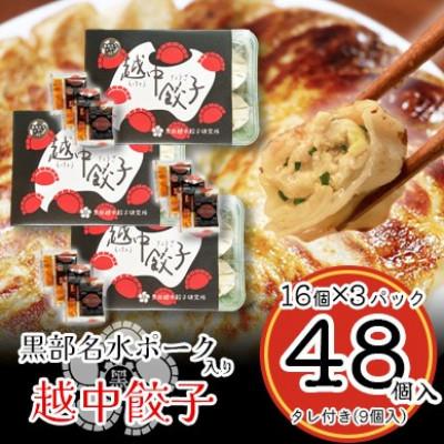 ふるさと納税 富山県 黒部名水ポーク入り越中餃子　3パック(48個入り)