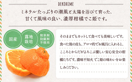 不知火 でこ姫 約2.5kg（6～12玉）【吉田レモニー】【2025年3月上旬～2025年5月下旬発送】宇城市産 デコポン® デコポン同品種 デコポン ®はJA熊本果実連の登録商標 デコポン不知火 不