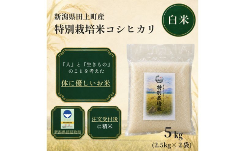令和8年産 特別栽培米コシヒカリ 5kg