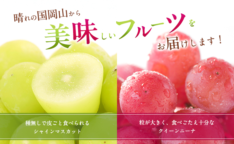 ぶどう 2025年 先行予約 シャインマスカット＆クイーンニーナ  各1房 約1.2kg ブドウ 葡萄 岡山県産 国産 フルーツ 果物 直送！せとうちバスケット