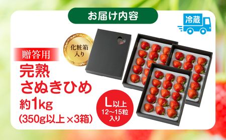 贈答用 完熟さぬき姫 約1.0kg | いちご 苺 さぬき姫 さぬきひめ 香川県オリジナル 希少 甘い 完熟 フルーツ 果物 旬 香川県 三木町 |_mk035-005