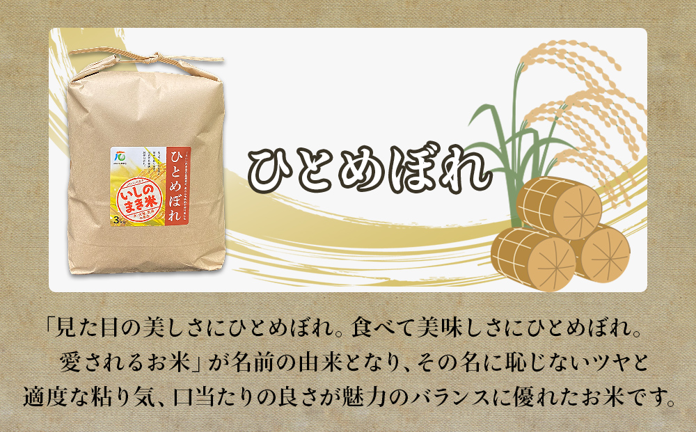 JAいしのまき　令和6年産　環境保全米ひとめぼれ3kg