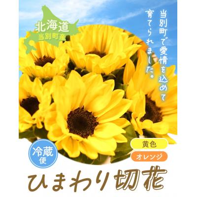 ふるさと納税 当別町 ひまわり切花30本入り(黄色、オレンジ 計30本) |  | 01