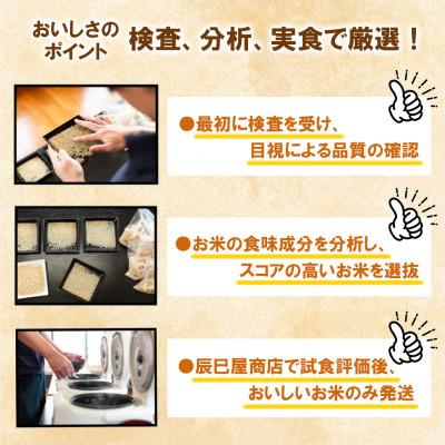 ふるさと納税 南魚沼市 【毎月定期便】南魚沼産新之助(精米) 5kg全3回 |  | 02