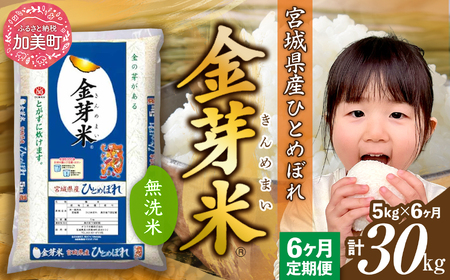 金芽米 新米定期便5kg×6回 金芽米
