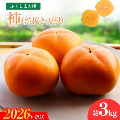 ふるさと納税 福島市 福島の柿「渋抜き柿」(刀根早生又は平たねなし)約3kg【2026年発送 先行受付】No.1205
