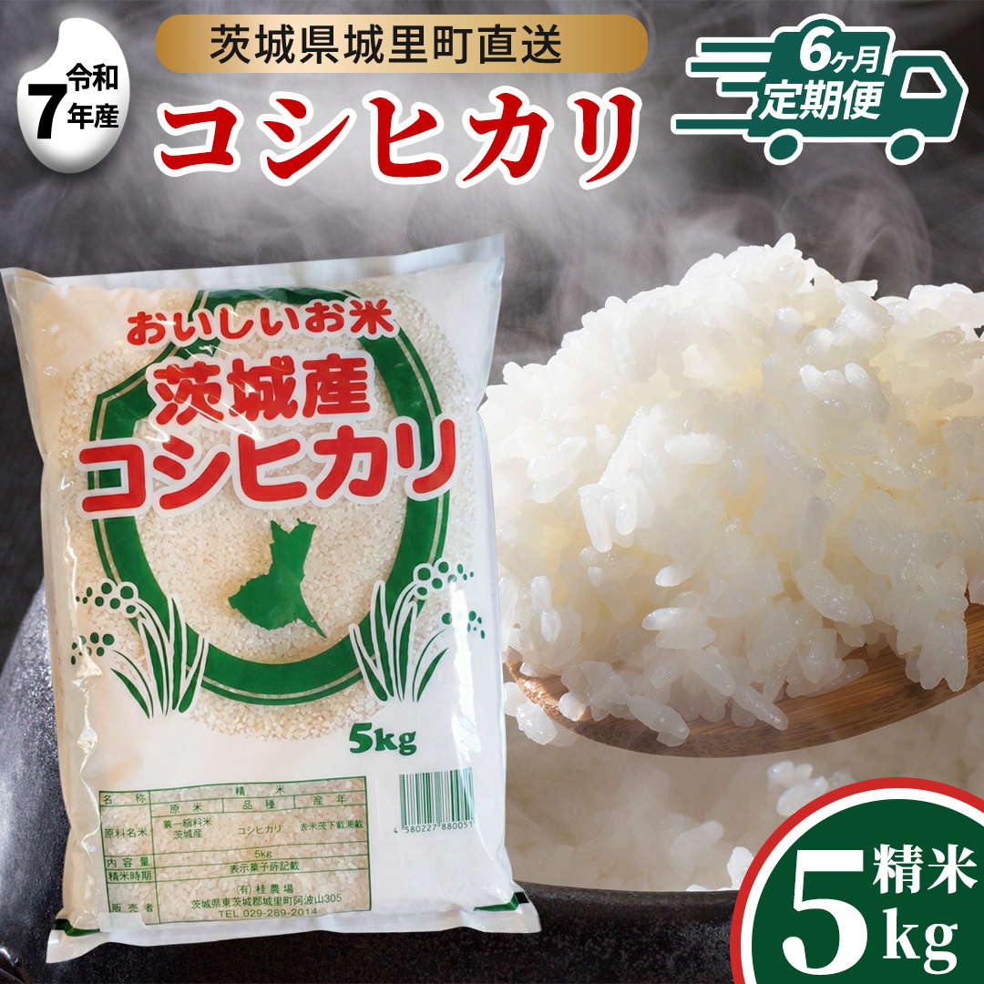 【 6回 定期便 】 コシヒカリ 5kg ×6回  令和7年  定期便 産地直送 茨城県 城里町 新米 精白米 米 ご飯 こしひかり 米 白米 精米 単一原料米 (AX040)