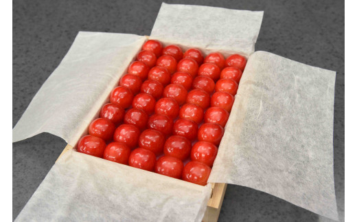 08-10-034　さくらんぼ(紅秀峰)特秀　2L　300g　桐箱入り鏡詰め