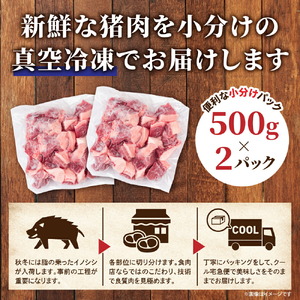 天然猪肉ぶつ切り 約1kg(500g×2) 広島県 猪肉 しし肉 天然 ジビエ しし汁 カレー 煮込み 冷凍 送料無料 世羅 A034-02