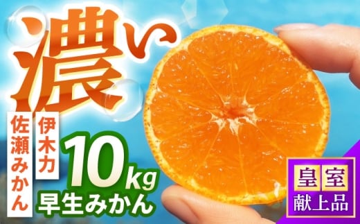 早生みかん　10kg / 諫早市 /伊佐農園 [AHFI012]