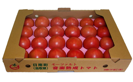 【先行予約】星降る里日南町　樹熟れトマト4kg【配送不可：北海道・沖縄】
