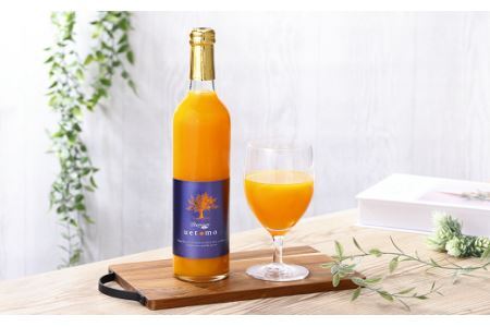温州みかん100%ストレートジュース【Premium Taste uetomo】500ml×2本セット(B670-1)