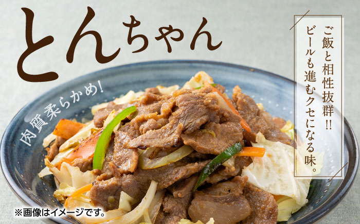 対馬 グルメ 満喫セット（6品目）《対馬市》【株式会社サイキ】村元とんちゃん 平和とんちゃん 鶏のいりやき あおさ 対州そば 黄金あなご の あなご重 [WAX001]