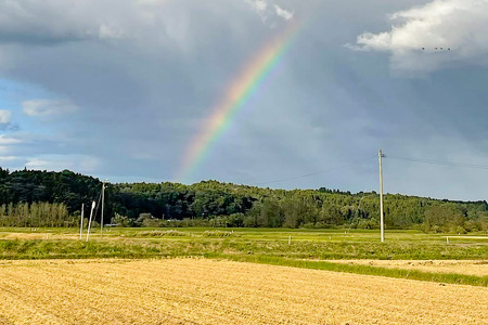 《令和7年産》【玄米】栗原市産 だて正夢 30kg （30kg×1袋） ブランド米 黒澤農産 宮城県 栗原市