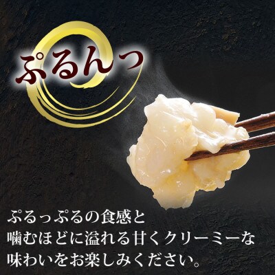 ぷるっぷる♪博多もつ鍋セット(あごだし醤油味)3−4人前×3個セット(大野城市)【配送不可地域：離島】【1527574】