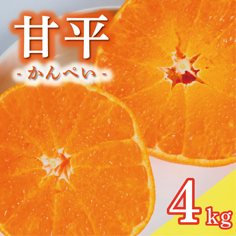 【ふるさと納税】 数量限定 先行予約 甘平 4kg 15000円 かんぺい 高級 人気 ブランド プレミアム 産地直送 農家直送 愛媛 みかん mikan 蜜柑 ミカン 国産 期間限定 特産品 フルーツ 果物 柑橘 甘い おいしい お取り寄せ ギフト プレゼント お礼 みかんの山祥 愛南町 愛媛県