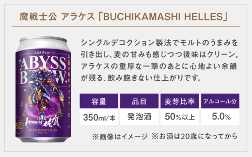 【全3回定期便】クラフトビール GAME BREW 4種 6本セット（4種各1本+アラケス1本、ビューネイ1本）各350ml 飲み比べ 四魔貴族 お酒 / 佐賀県 / 西研グラフィックス [41AKA