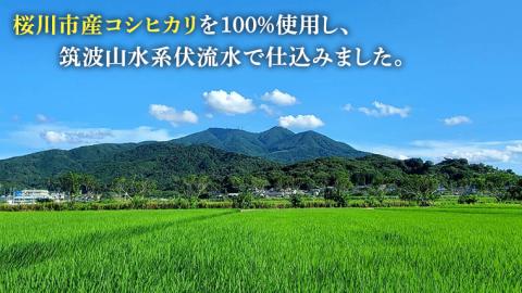 【12月上旬より順次発送】＜ お歳暮熨斗付 ＞食べるあまざけ 12本セット お米 米麹 甘酒 国産 麹 甘酒 発酵食品 ノンアルコール 茨城県産 飲む点滴 ギフト 贈答 お歳暮 [AD007sa]