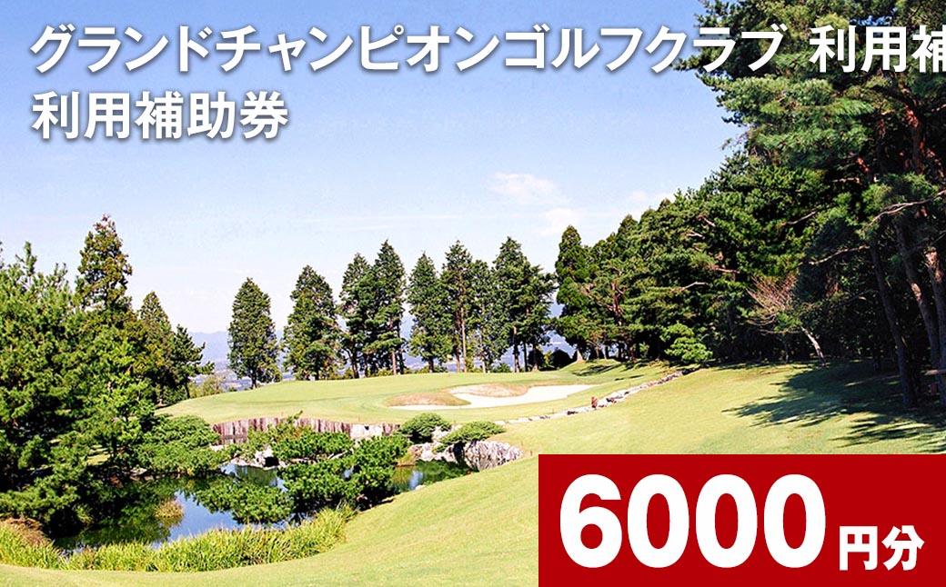 
グランドチャンピオンゴルフクラブ 利用補助券 6000円分 1000円×6枚
