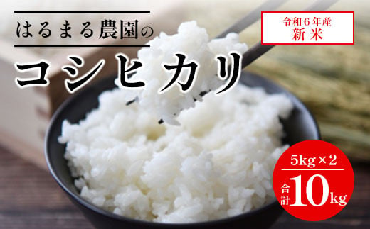 【令和6年産新米】京都丹波福知山産 はるまる農園のコシヒカリ 5kg×２ 合計10kg ／9月中発送可 ふるさと納税 精米 米 こめ ご飯 ごはん 白米 コシヒカリ こしひかり 特別栽培米 FCCN010