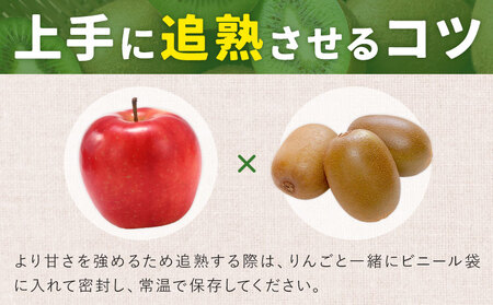 先行予約 キウイフルーツ ヘイワード 約4kg 松本果樹園《2026年12月中旬-2027年1月末頃出荷予定》茨城県結城市
