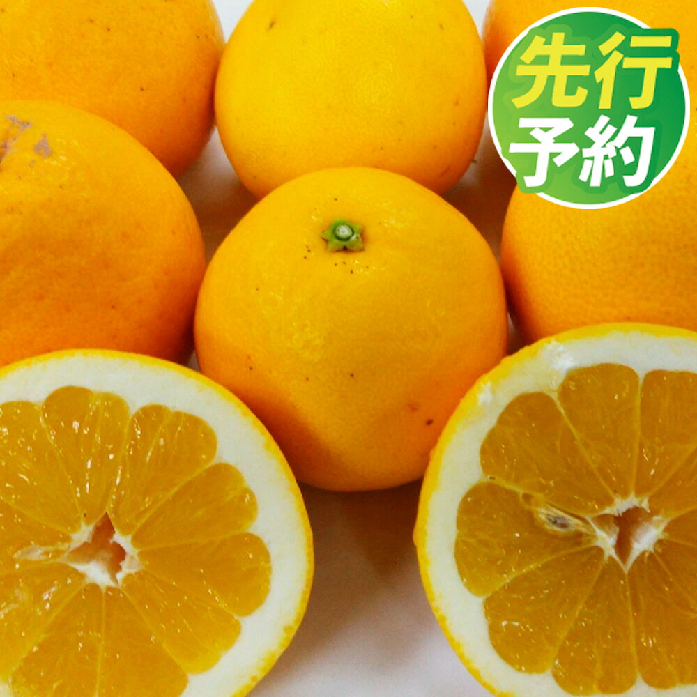 【ふるさと納税】 ＜ R8年熊本地震復興支援 ＞ 河内晩柑 ＜選べる＞約5kg または 約10kg サイズ不選別 蜜柑 柑橘 晩柑 果実 果物 フルーツ 熊本市 国産 常温 先行予約 送料無料 【約5kg：2027年3月下旬～6月上旬迄順次発送予定】【約10kg：2027年3月上旬～6月下旬発送予定】