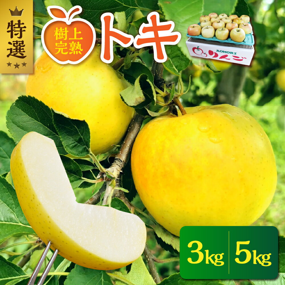 【ふるさと納税】《 2025年10月発送 》 特選 とき 選べる内容量 3kg または 5kg / トキ りんご 林檎 アップル フルーツ 贈り物 ギフト プレゼント 常温保存 秋 旬 青森県 五所川原市