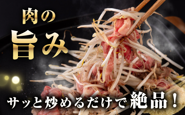 【全2回定期便】【A4~A5ランク】 長崎和牛 肩ロース 切り落とし 300g《壱岐市》【野中精肉店】牛 牛肉 和牛 国産 長崎和牛 霜降り すき焼き すき焼 ロース ギフト 贈答用 冷凍配送 A4 