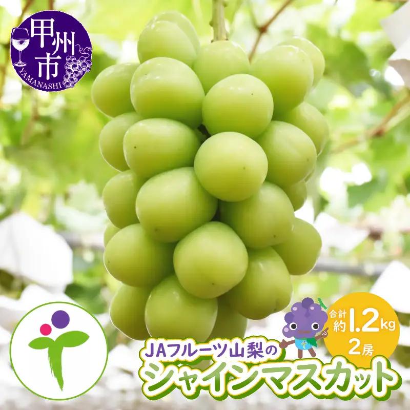 JAフルーツ山梨シャインマスカット2房