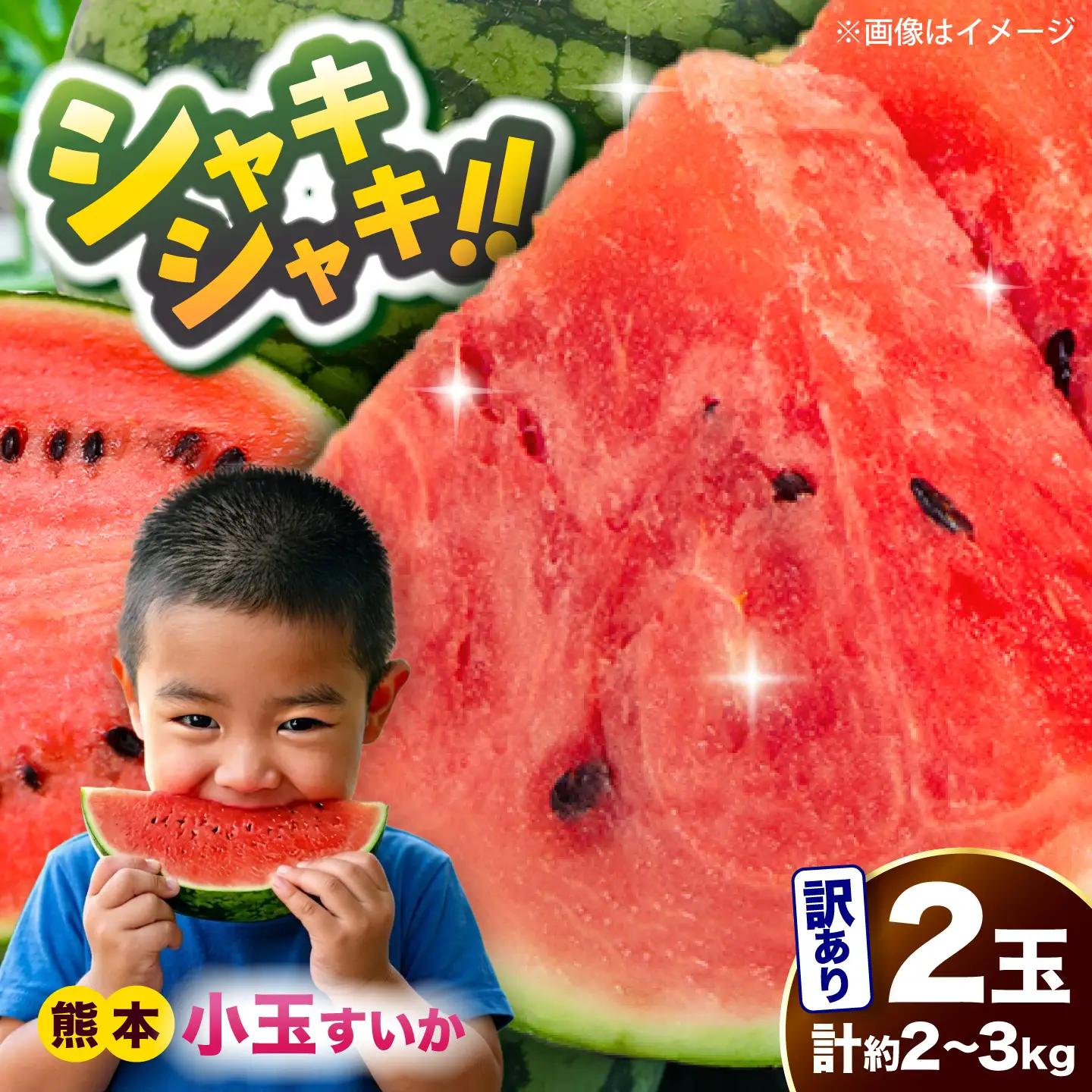 令和8年熊本地震復興支援 先行予約2027年5月下旬より発送 訳あり小玉すいか2玉計約2kg~3kg数量限定スイカすいかAYAT009