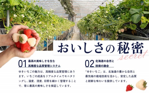 【2027年１月以降発送！】【北海道産】ゆきいちご（すずor恋みのり） ２Pセット 各250g×２ 計500g