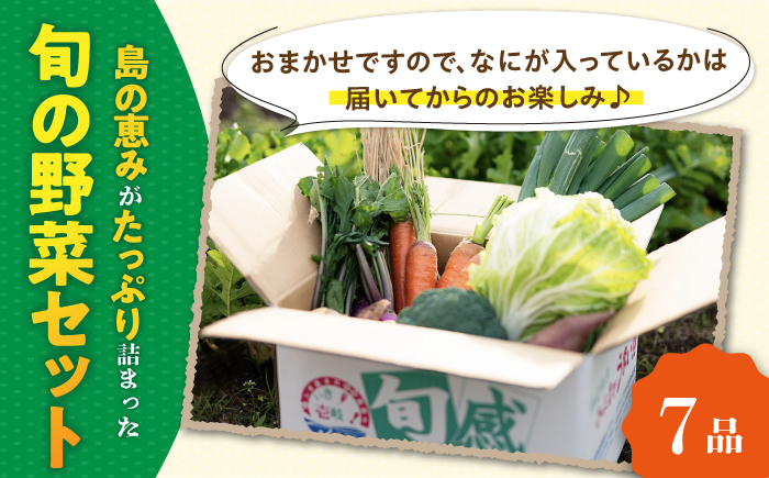 【全6回定期便】旬の野菜セット 7品 《壱岐市》【壱岐市農業協同組合】[JBO045] 野菜 ベジタブル 食材 詰め合わせ 産地直送 野菜セット グルメ 春 夏 秋 冬 旬 サラダ 冷蔵 夏野菜 スム