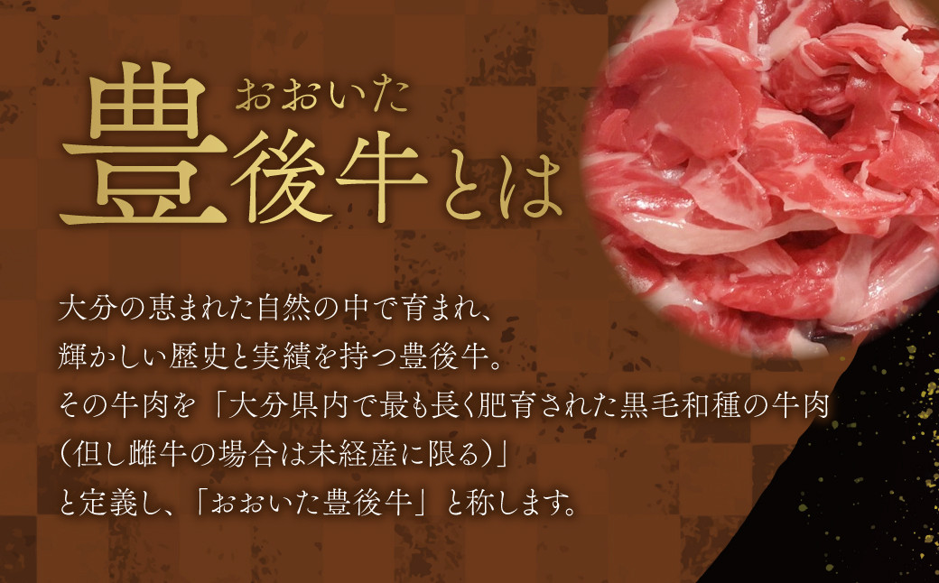 091-729 豊後牛 切り落とし 計800g (200g×4パック) 和牛 牛肉 国産