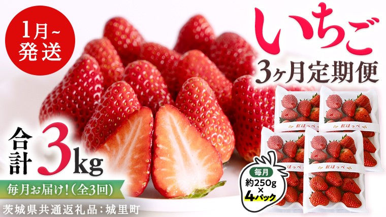 
                  【 定期便 】 合計3kgお届け いちご の3ヶ月連続お届け便 （1回：250g×4パック）×3回 【2027年1月より発送開始】（茨城県共通返礼品：城里町産） 果物 フルーツ イチゴ 苺 白いちご 白苺 とちおとめ 白いちご 紅ほっぺ やよいひめ 定期便
                