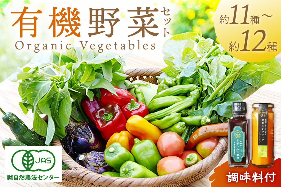 ＜てんとうむしばたけ＞オーガニック野菜&調味料セット　有機野菜11～12種(4人用)＆調味料2種 BR00049
