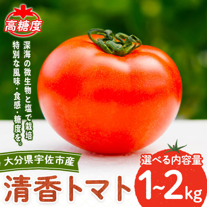 【ふるさと納税】＜先行予約受付中！4月上旬以降順次発送予定＞＜内容量を選べる！＞清香トマト(1~2kg)トマト 高糖度 フルーツトマト 野菜【118800100・118800200】【ヘリックス】