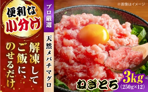まぐろ ねぎとろ 約3kg（約250g×12パック） 鮪 マグロ 魚 ネギトロ 横須賀【横須賀商工会議所 おもてなしギフト事務局（本まぐろ直売所 横須賀本店）】 [AKAK007]